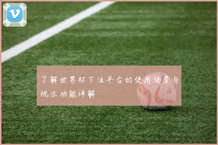 了解世界杯下注平台的使用场景与玩法功能详解