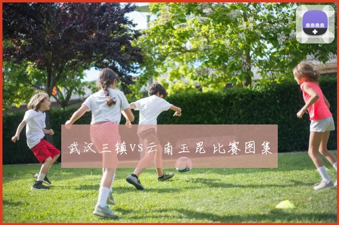 武汉三镇vs云南玉昆 比赛图集